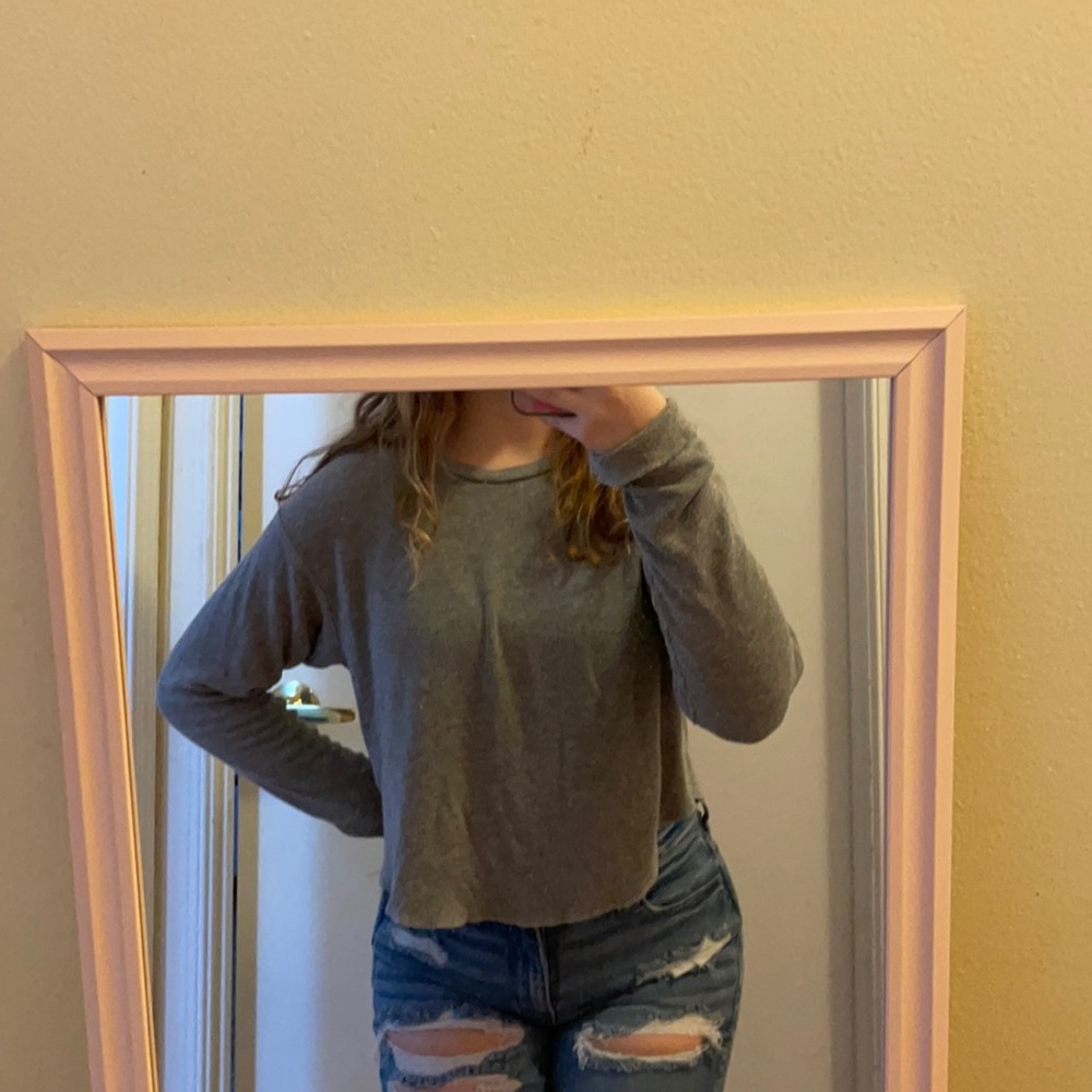 John Galt (brandy melville) gray crop sweater
